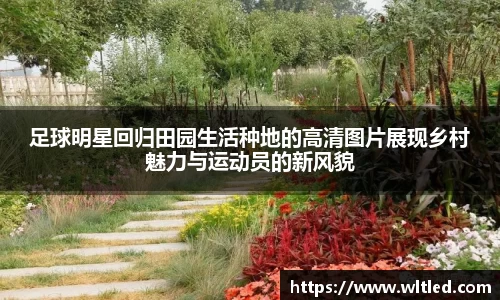 足球明星回归田园生活种地的高清图片展现乡村魅力与运动员的新风貌